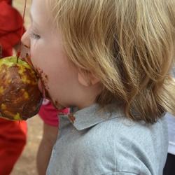 Semana cultural 2015