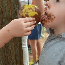 Semana cultural 2015