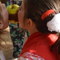 Semana cultural 2015