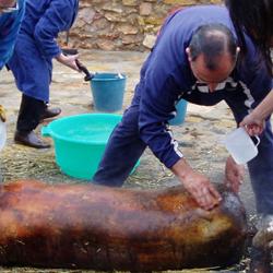 Matanza del cerdo